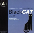 Blackcat opt.jpeg