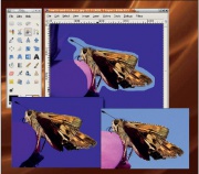 (thumbnail)