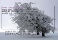 LXF128 67 1.jpg