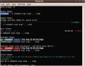 Миниатюра для версии от 13:47, 28 июня 2011
