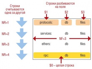 LXF138 50 1.jpg